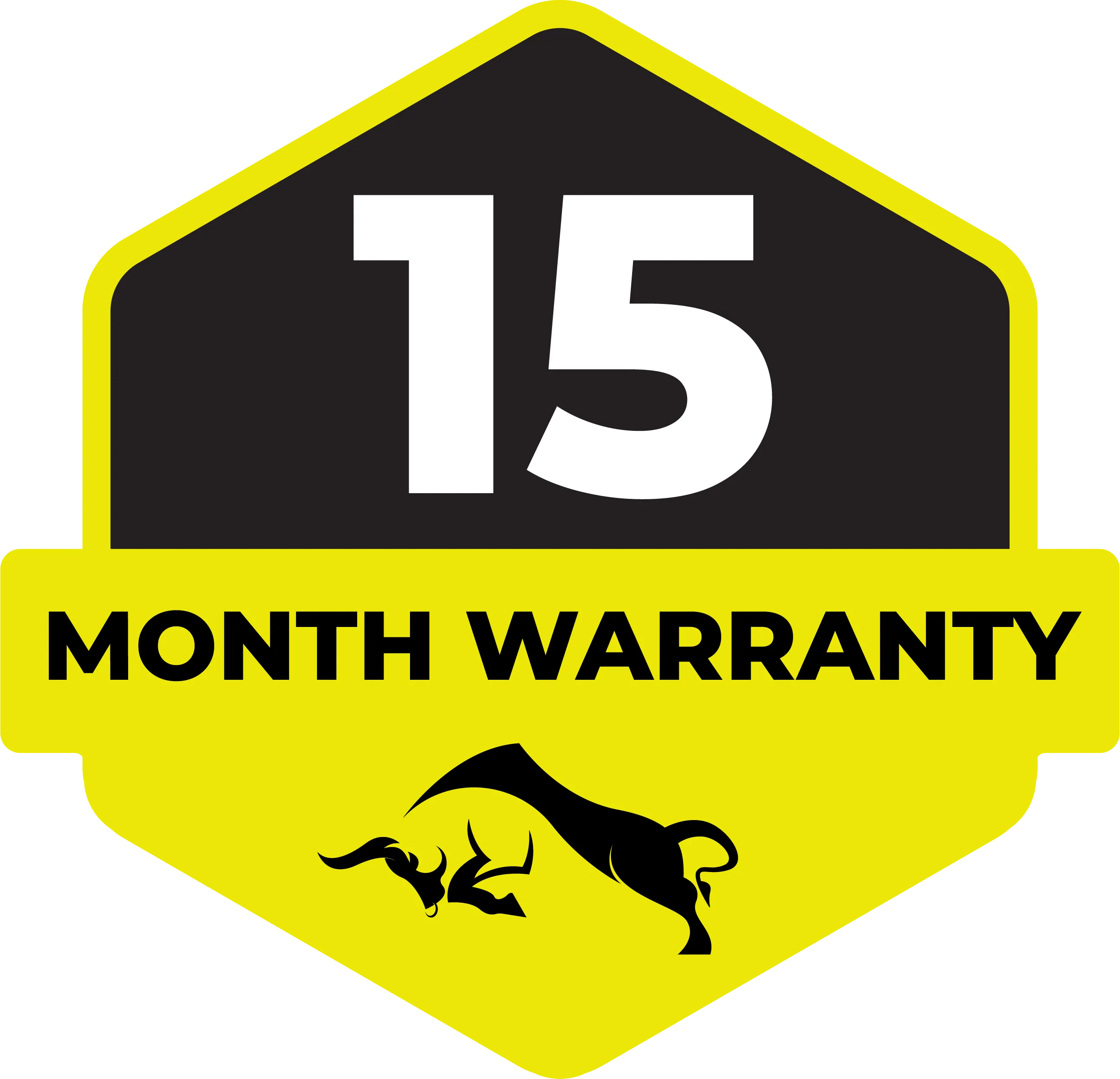 15 Months Warranty