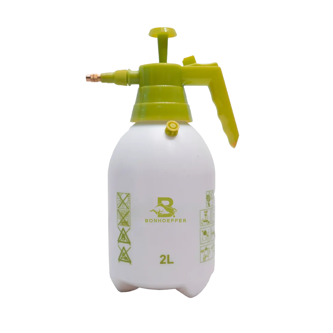 BON-P-MS2L
